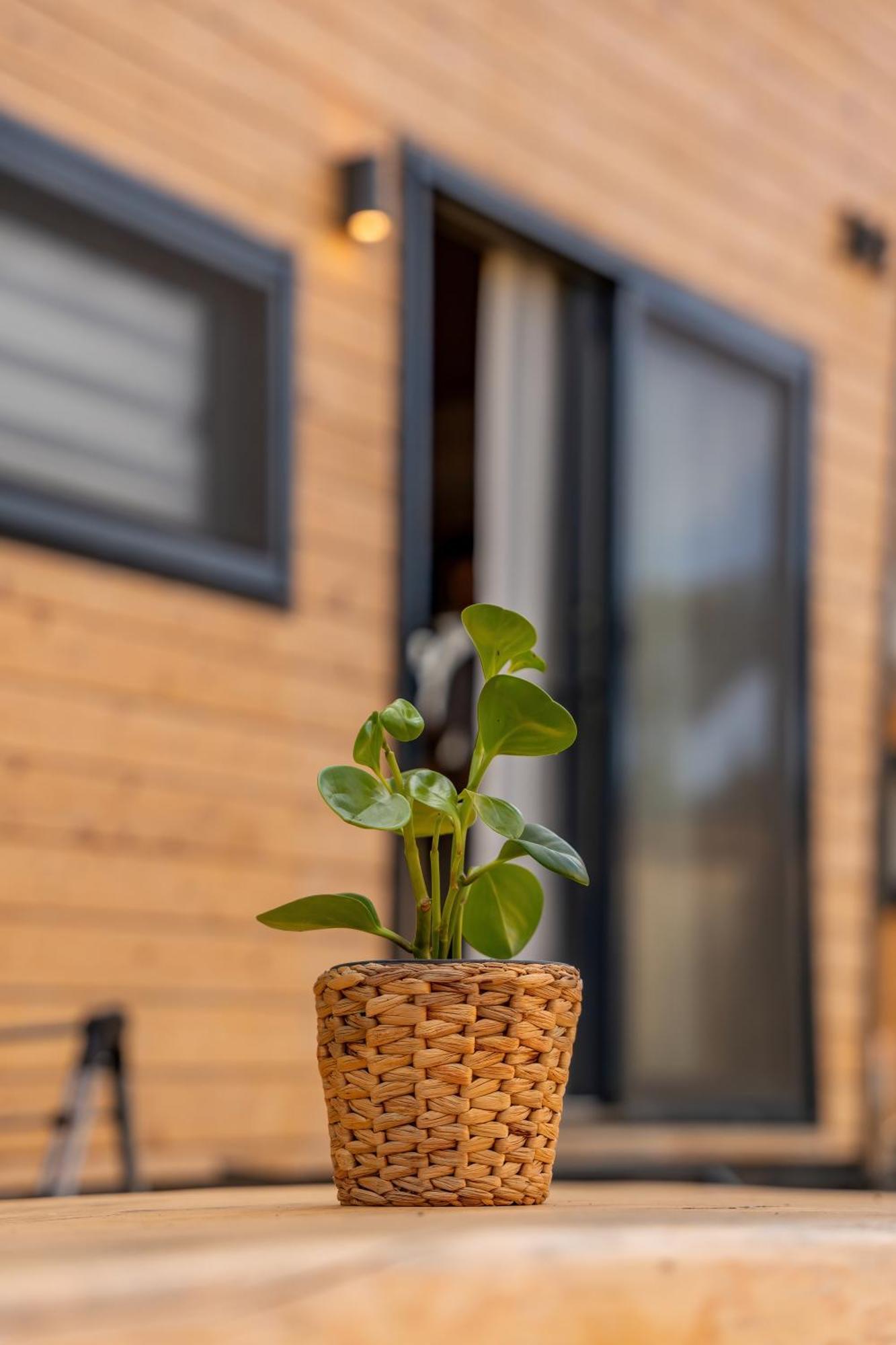 Gaia Tiny Houses Butik Hotel Bodrum Exterior photo